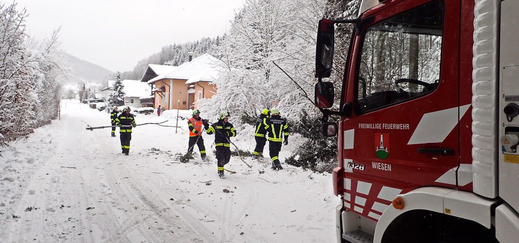 2017-01-05-Baum-über-Straße