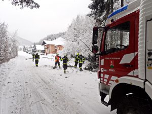 2017-01-05-Baum-über-Straße