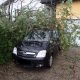 2017-05-30-Unwettereinsätze-in-Wiesen-nach-Starkregen