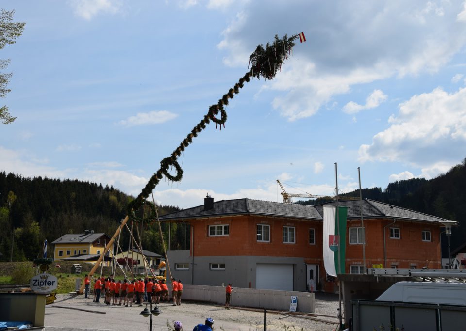 Maibaum