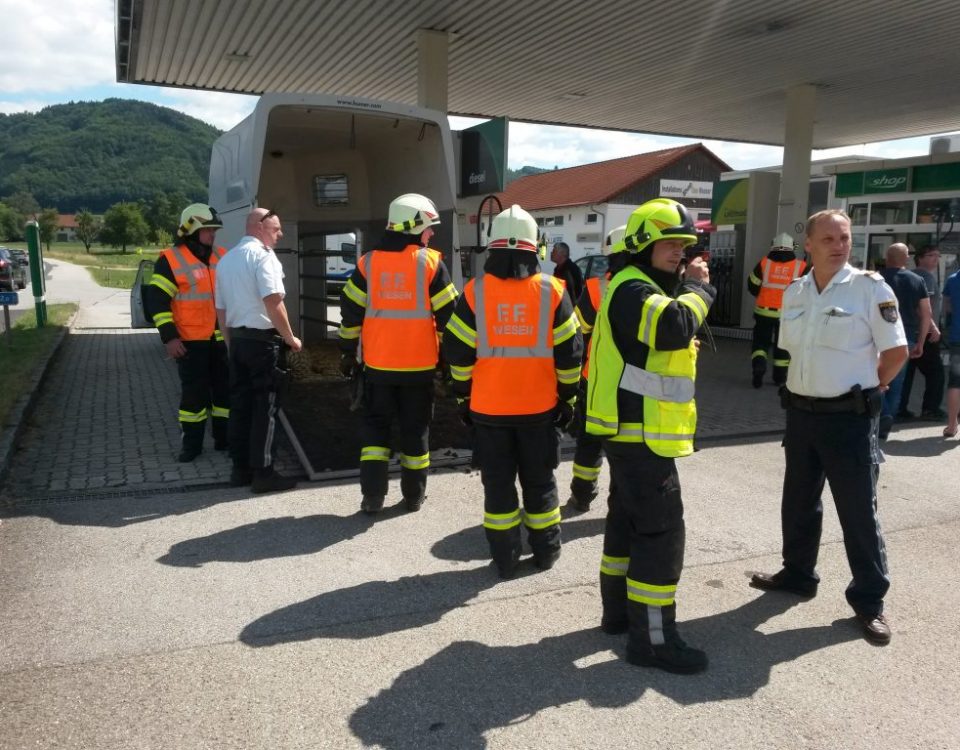 2017-06-18-Tierrettung-PB-Tankstelle